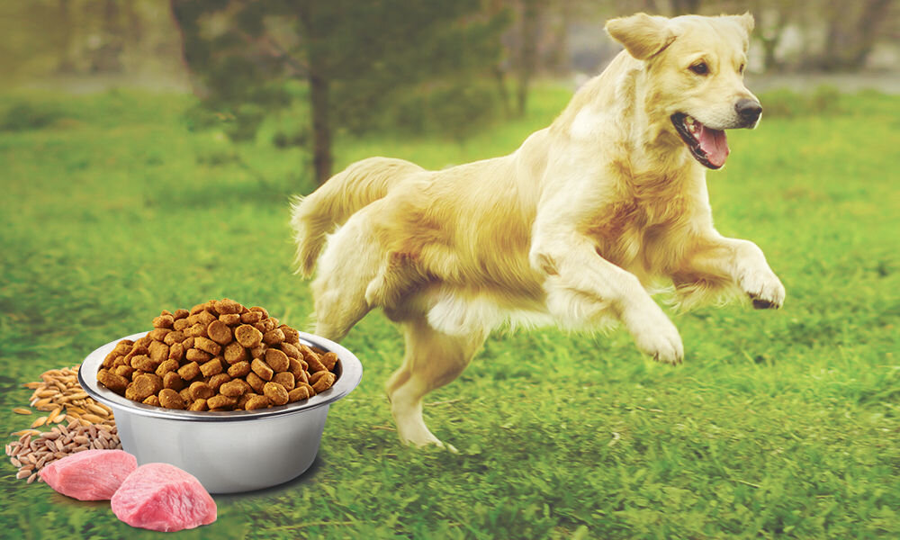 Karma dla psa FARMINA N&D Ancestral Grain Jagnięcina z borówką Puppy Medium&Maxi 7 kg witaminy pierwiastki aminokwasy