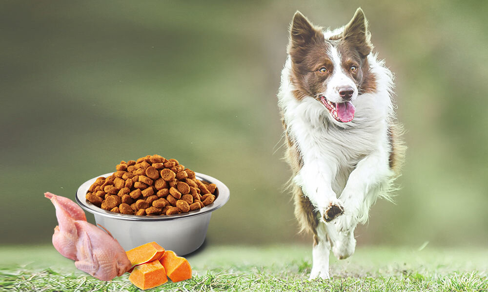 Karma dla psa FARMINA N&D Pumpkin Przepiórka z dynią i granatem Adult Mini 2 kg  naturalne składniki wielkość krokietów