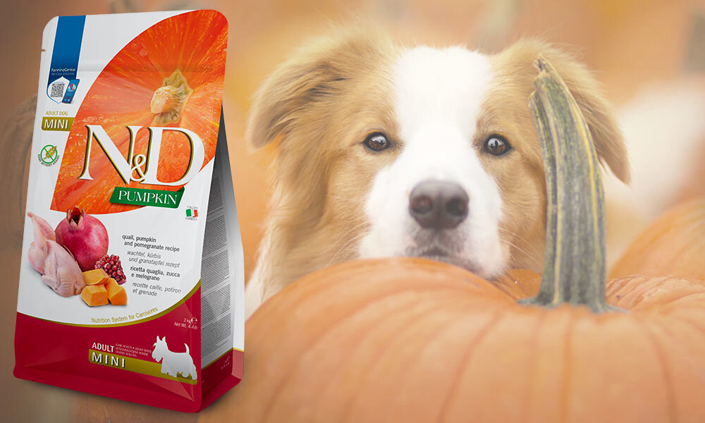 Karma dla psa FARMINA N&D Pumpkin Przepiórka z dynią i granatem Adult Mini 2 kg  dawkowanie analiza sklad