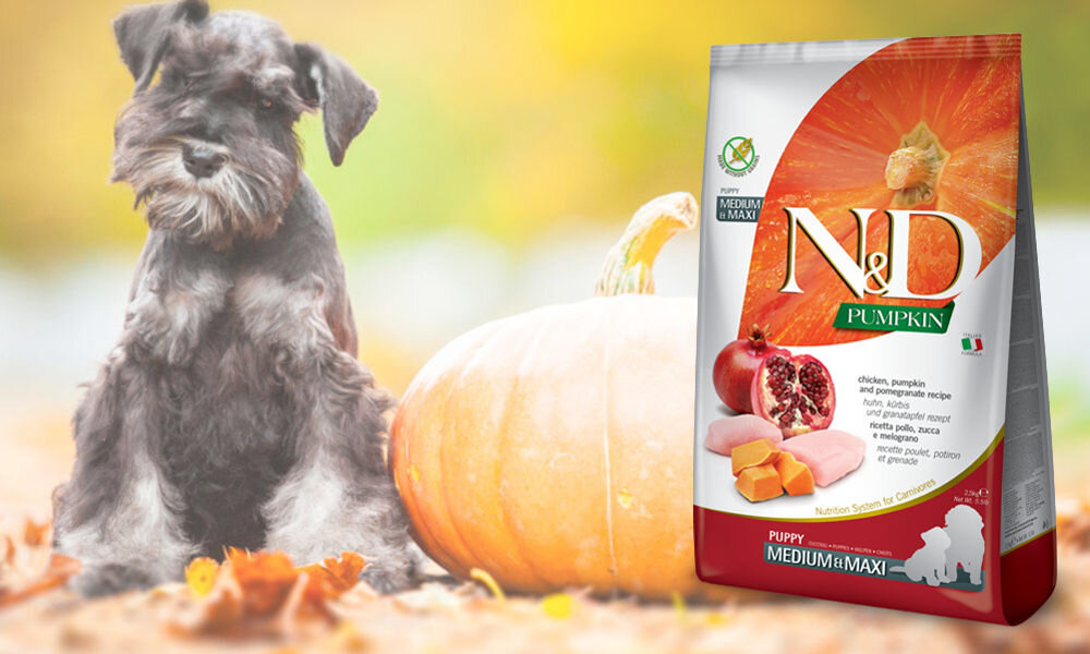 Karma dla psa FARMINA N&D Pumpkin Kurczak z dynią i owocem granatu Medium Maxi 12 kg dawkowanie analiza sklad