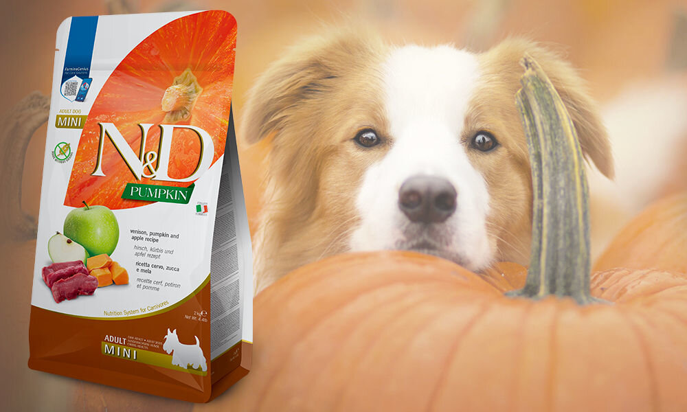 Karma dla psa FARMINA N&D Pumpkin Vension Jeleń z dnią i jabłkiem Adult Mini 2 kg dawkowanie analiza sklad
