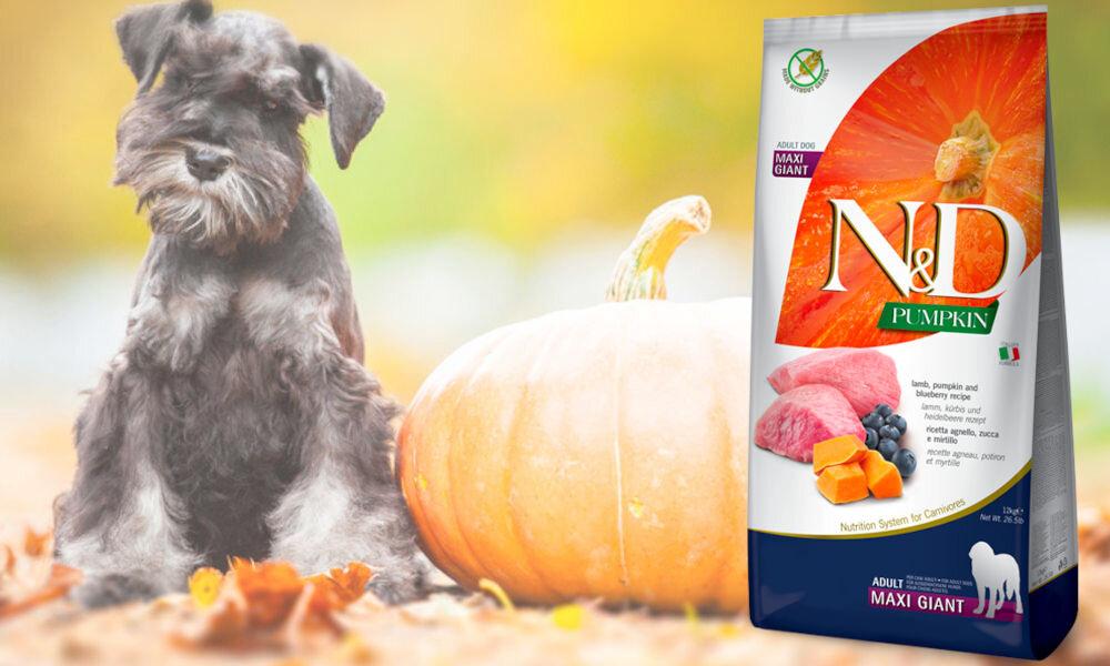 Karma dla psa FARMINA N&D Pumpkin Jagnięcina z dynią i borówką Adult Maxi Giant 12 kg dawkowanie analiza sklad
