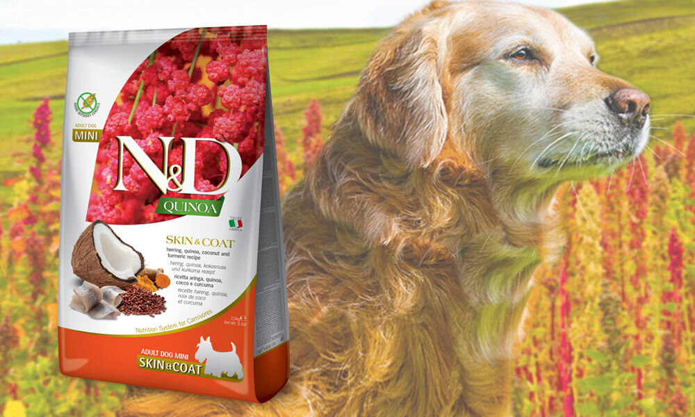 Karma dla psa Karma dla psa FARMINA N&D Quinoa Śledź z kokosem i kurkumą Adult Mini 2,5 kg dawkowanie analiza sklad