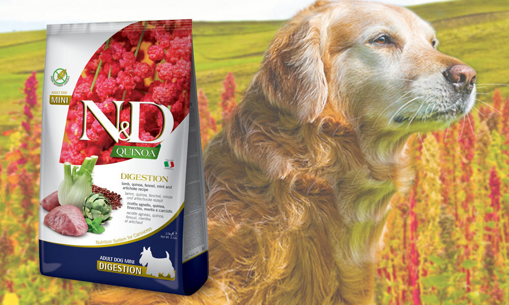 Karma dla psa Karma dla psa FARMINA N&D Quinoa Dog Digestion Adult Mini Jagnięcina 2,5 kg dawkowanie analiza sklad