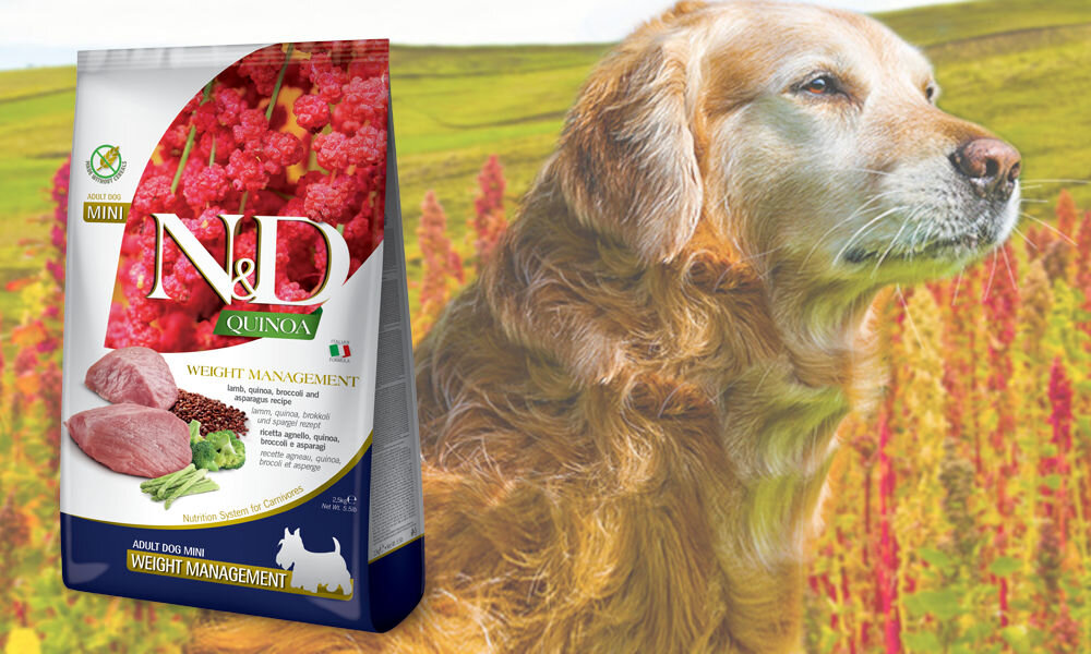 Karma dla psa FARMINA N&D Quinoa Dog Weight Management Adult Mini Jagnięcina 2,5 kg dawkowanie analiza sklad