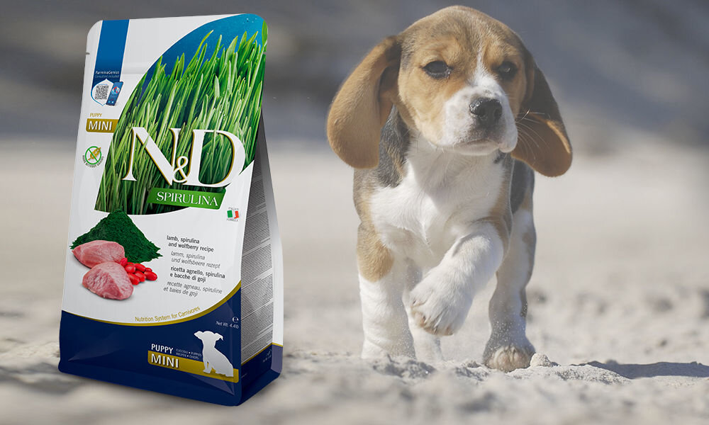 Karma dla psa FARMINA N&D Śledź ze Spiruliną i Jagodami Goji Puppy Mini 2 kg dawkowanie analiza sklad