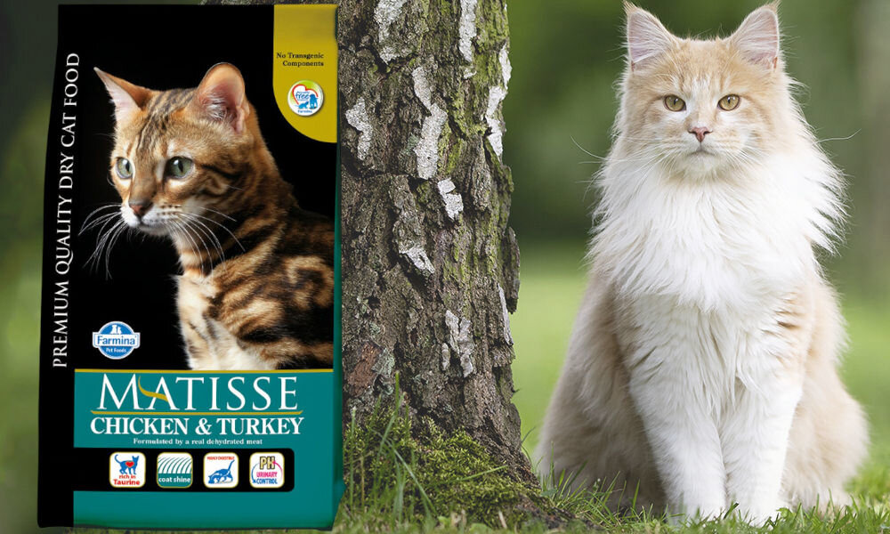 Karma dla kota FARMINA Matisse Kurczak i indyk 400 g dawkowanie analiza sklad