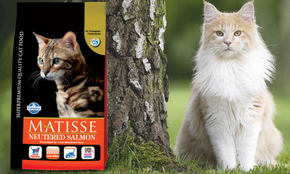 Karma dla kota FARMINA Matisse Łosoś 1.5 kg dawkowanie analiza sklad