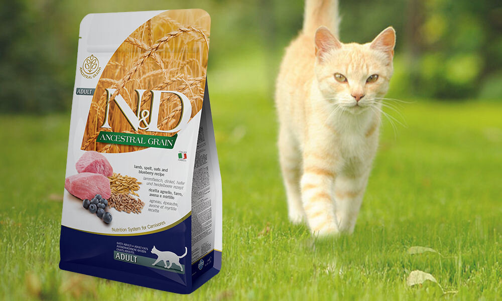 Karma dla kota FARMINA N&D Ancestral Grain Adult Jagnięcina, orkisz, owies i borówka amerykańska 300 g dawkowanie analiza sklad