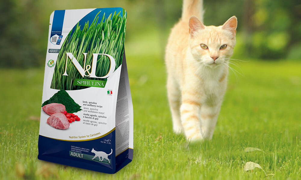 Karma dla kota FARMINA N&D Jagnięcina ze spiruliną i jagodami goji 1,5 kg dawkowanie analiza sklad