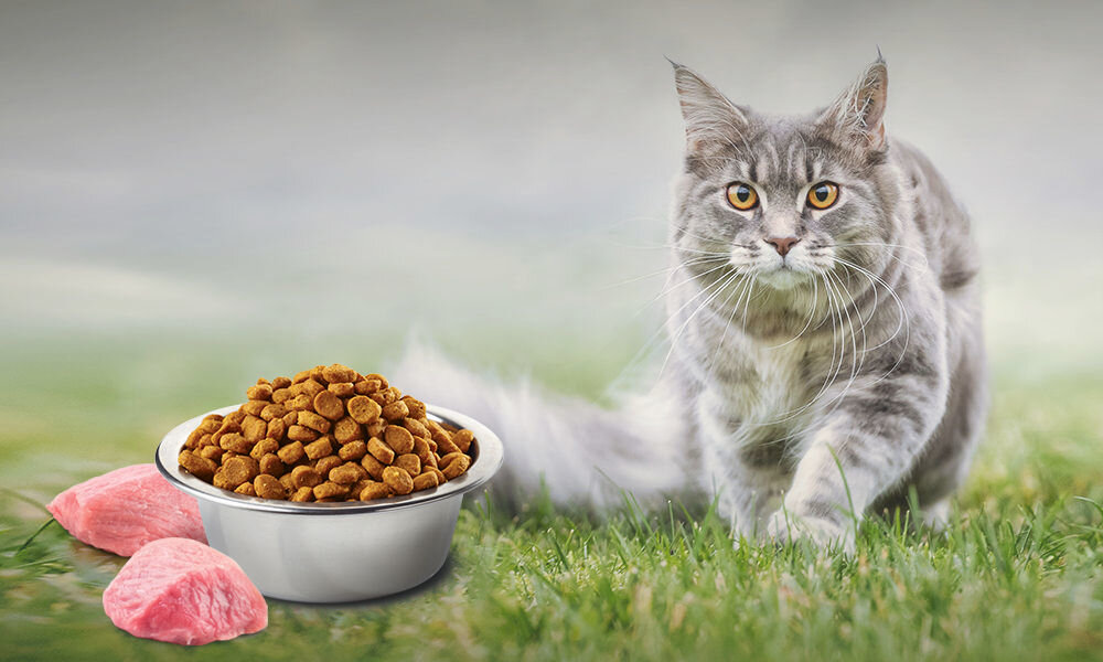 Karma dla kota FARMINA N&D Jagnięcina ze spiruliną i jagodami goji 1,5 kg witaminy pierwiastki aminokwasy