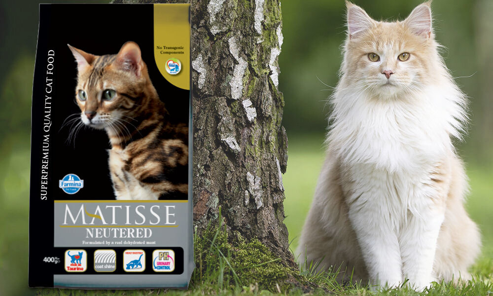Karma dla kota FARMINA Matisse Neutered 10 kg dawkowanie analiza sklad