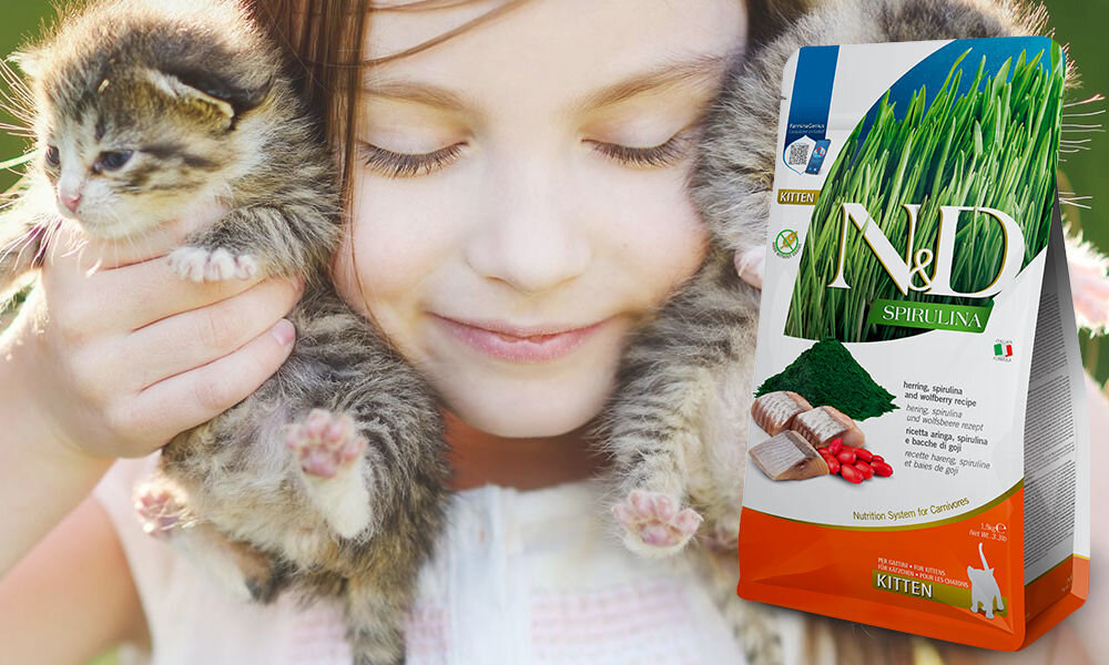 Karma dla kota FARMINA N&D Śledź ze spiruliną i jagodami goji 1,5 kg dawkowanie analiza sklad