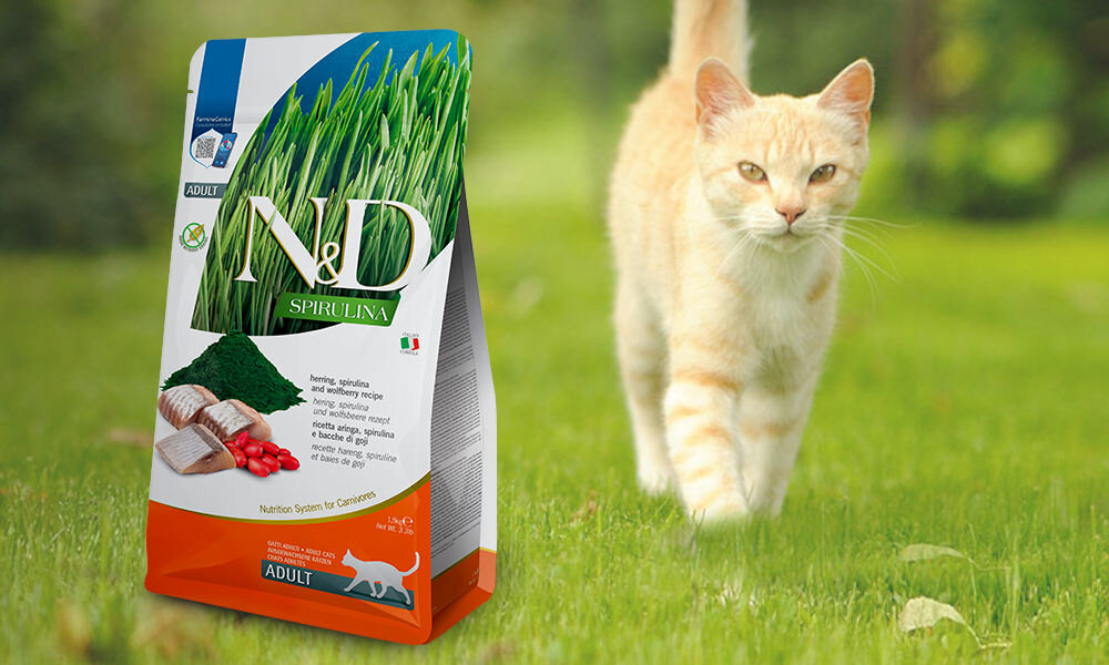 Karma dla kota FARMINA N&D Śledź z spiruliną i jagodami goji 1,5 kg dawkowanie analiza sklad