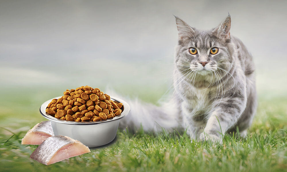 Karma dla kota FARMINA N&D Śledź z spiruliną i jagodami goji 1,5 kg witaminy pierwiastki aminokwasy