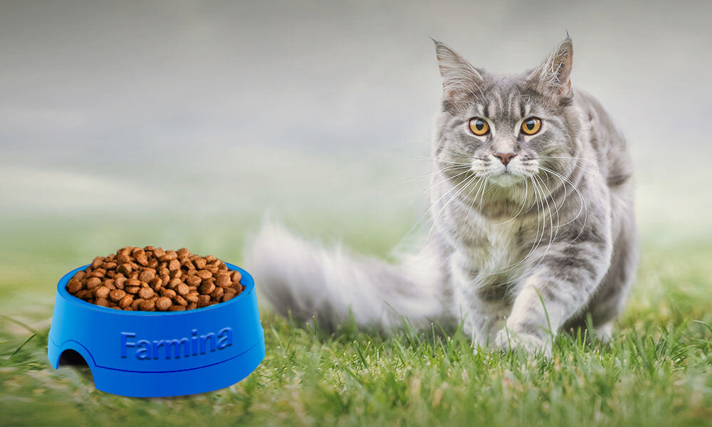 Karma dla kota FARMINA Matisse Neutered 20 kg witaminy pierwiastki aminokwasy