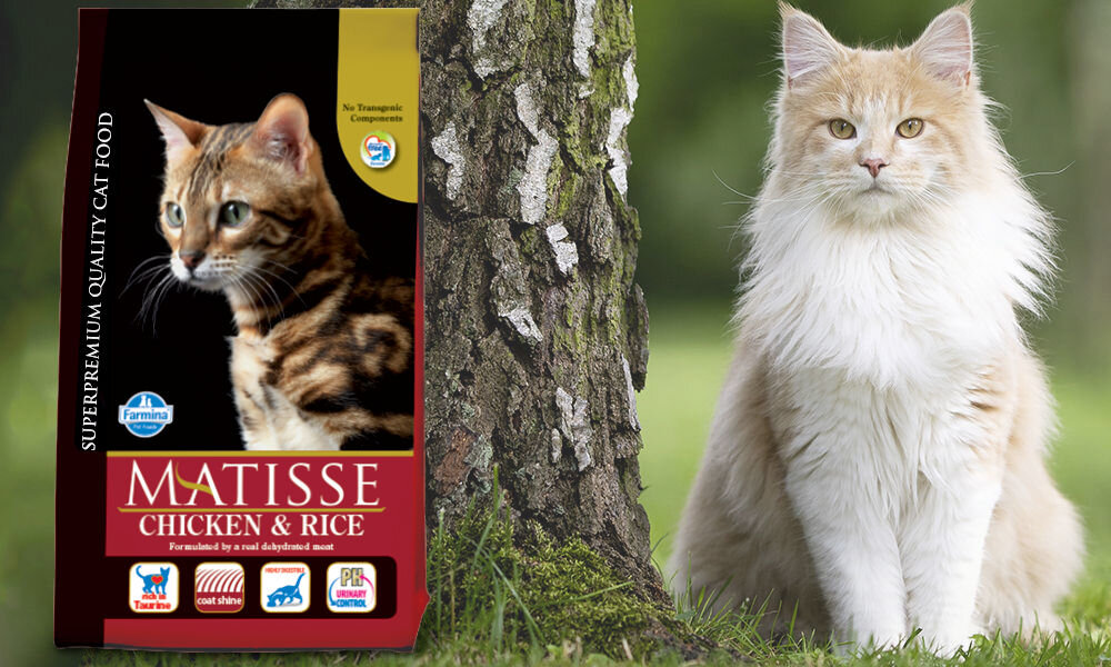 Karma dla kota FARMINA Matisse Kurczak z ryżem 20 kg dawkowanie analiza sklad