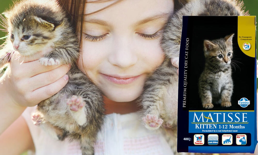 Karma dla kota FARMINA Matisse Kitten 400 g dawkowanie analiza sklad