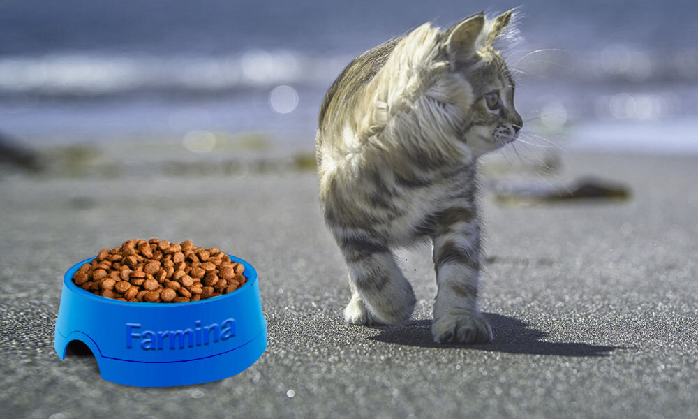Karma dla kota FARMINA Matisse Kitten 400 g witaminy pierwiastki aminokwasy