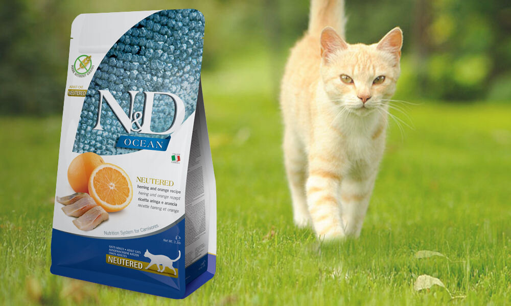 Karma dla kota FARMINA N&D Ocean Neutered Śledź i Pomarańcza Adult 300 g dawkowanie analiza sklad