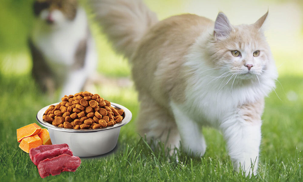 Karma dla kota FARMINA N&D Kaczką z dynią i melonem Cantaloupe 400 g naturalne składniki wielkość krokietów