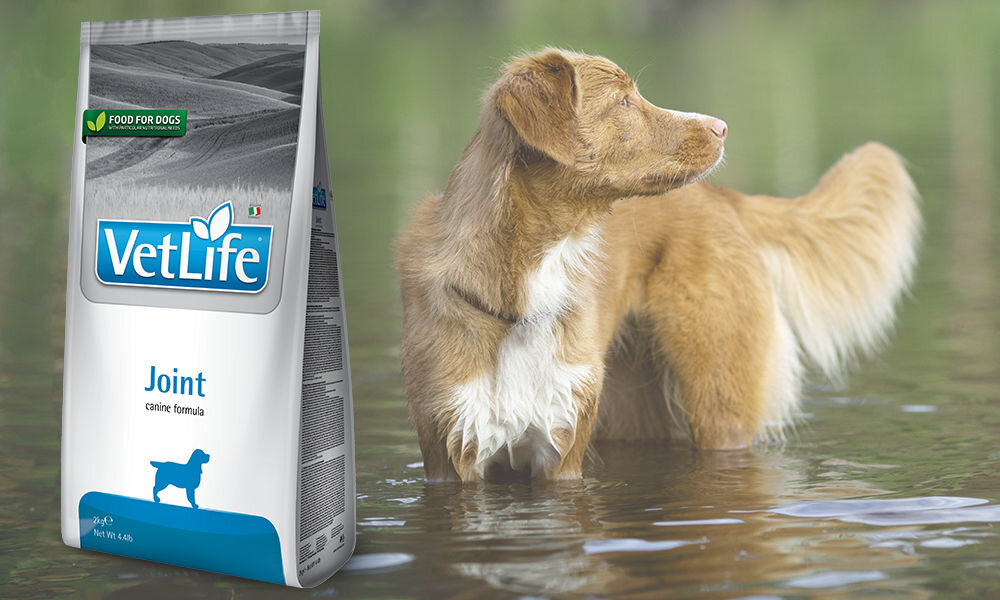 Karma dla psa FARMINA Vet Life Joint 2 kg dawkowanie analiza sklad