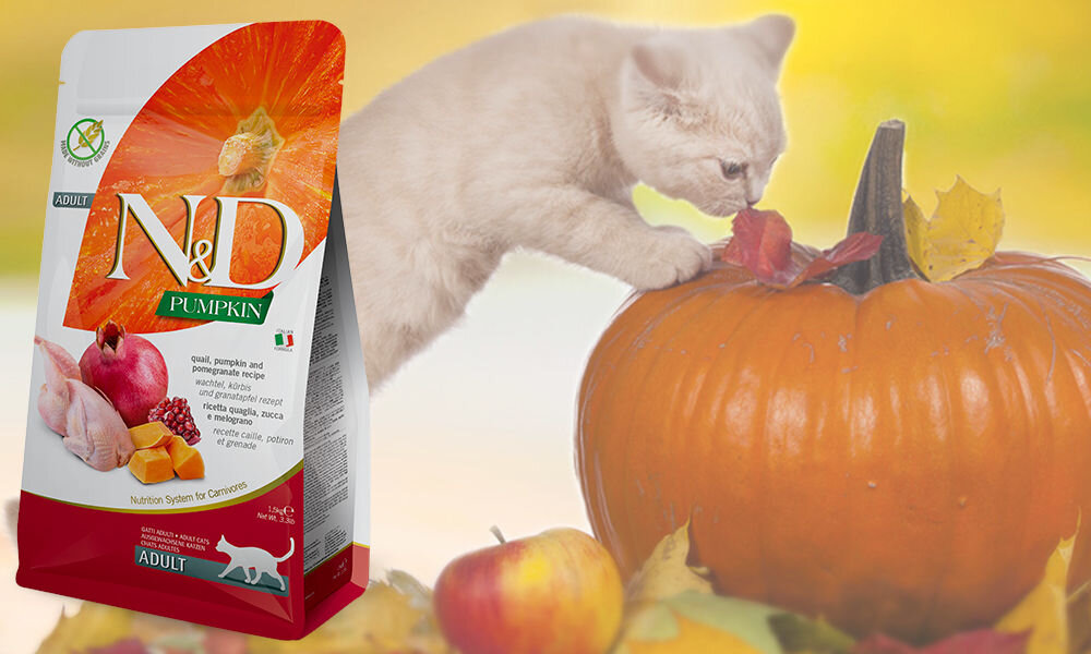 Karma dla kota FARMINA N&D Pumpkin Przepiórka z dynią i granatem 300 g dawkowanie analiza sklad