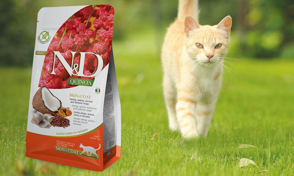 Karma dla kota FARMINA N&D Quinoa Skin & Coat Śledź z kokosem i kurkumą 300 g dawkowanie analiza sklad