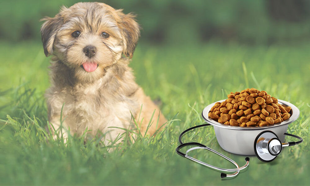 Karma dla psa FARMINA Vet Life Gastrointestinal Puppy 2 kg witaminy pierwiastki aminokwasy