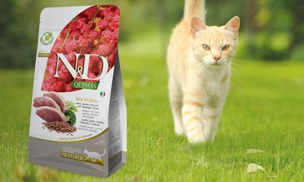 Karma dla kota FARMINA N&D Quinoa Neutered Kaczka z brokułami i szparagami 300 g dawkowanie analiza sklad