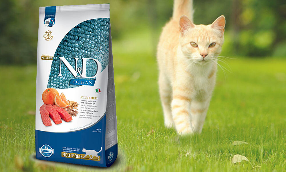 Karma dla kota FARMINA N&D Ocean Łosoś Orkisz Owies i Pomarańcza 10 kg dawkowanie analiza sklad