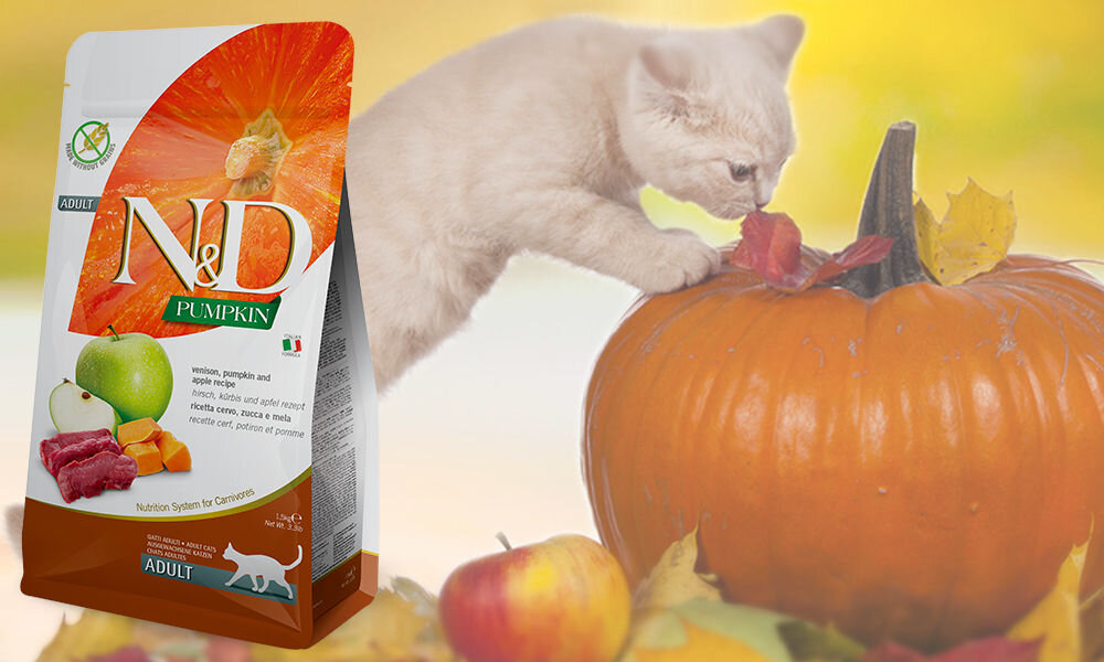 Karma dla kota FARMINA N&D Pumpkin Jeleń z dynią i jabłkiem 300 g dawkowanie analiza sklad