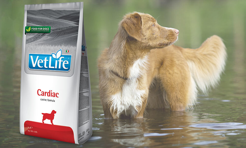 Karma dla psa FARMINA Vet Life Cardiac 10 kg dawkowanie analiza sklad