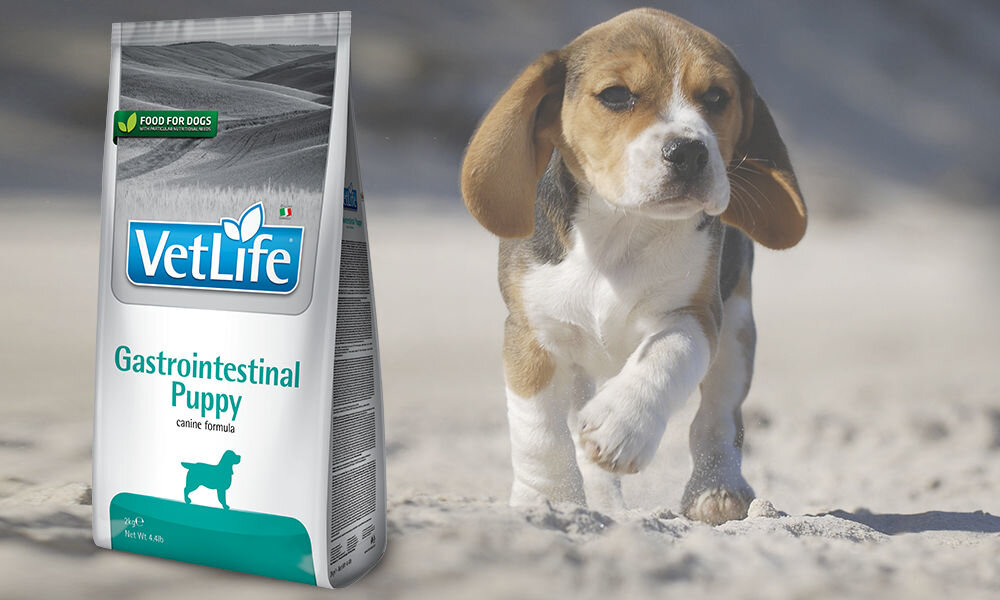 Karma dla psa FARMINA Vet Life Gastrointestinal Puppy 12 kg dawkowanie analiza sklad