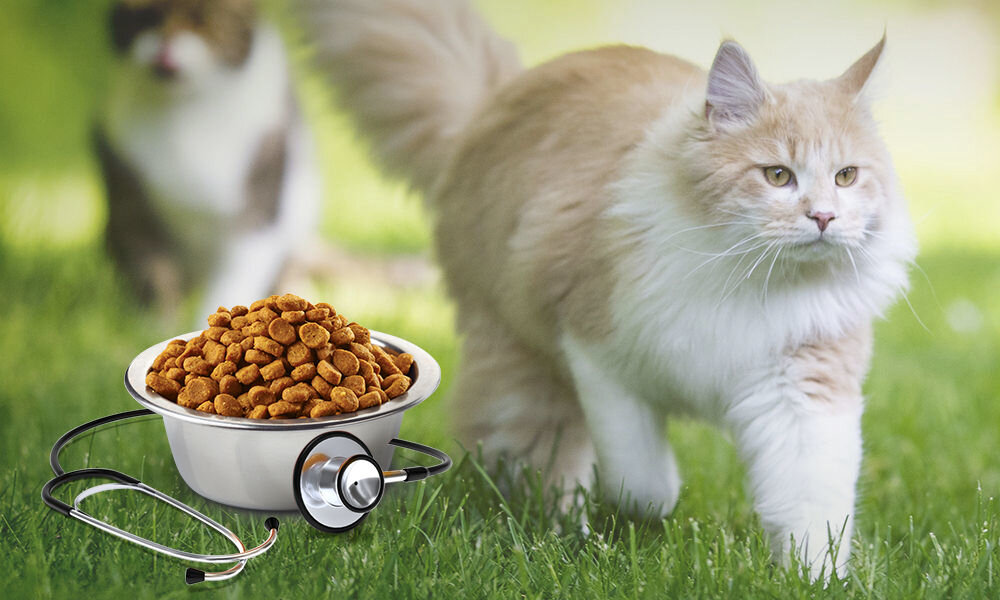 Karma dla kota FARMINA Vet Life Diabetic 400 g naturalne składniki wielkość krokietów