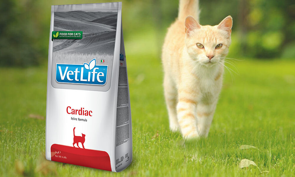 Karma dla kota FARMINA Vet Life Cat Cardiac 400 g dawkowanie analiza sklad