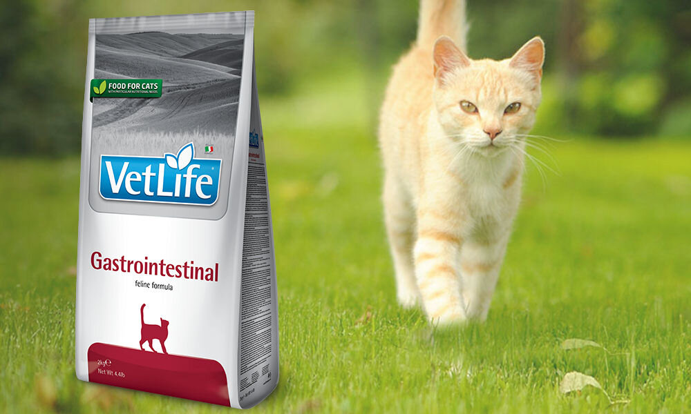 Karma dla kota FARMINA Vet Life GastroIntestinal 10 kg dawkowanie analiza sklad