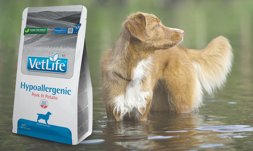 Karma dla psa FARMINA Vet Life Hypoallergenic Wieprzowina z ziemniakami 12 kg dawkowanie analiza sklad