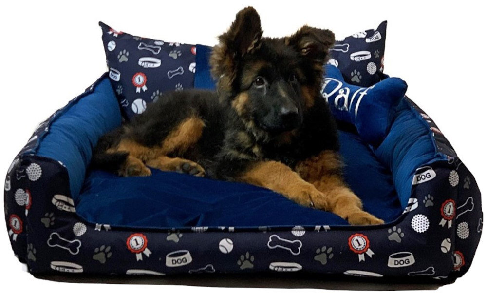 Legowisko dla psa GOGIFT Ralph XXL Granatowy 100 x 80 cm wygląd design prezentacja wizualizacja leżący pies patrzący w obiektyw front