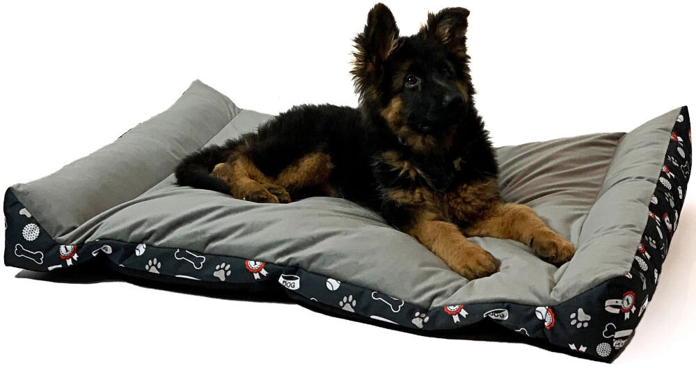Legowisko uniwersalne GOGIFT Rex rozmiar L, wypełnione pianką Memory Foam i pokryte welurem, przyjazne dla alergików szczeniak owczarka niemieckiego leży na wierzchu szarego legowiska dla psa, patrząc w prawo. Legowisko ma czarno-biało-czerwony wzór z motywami psich kości, łap i nagród na dolnej krawędzi i bokach. Tło jest białe.