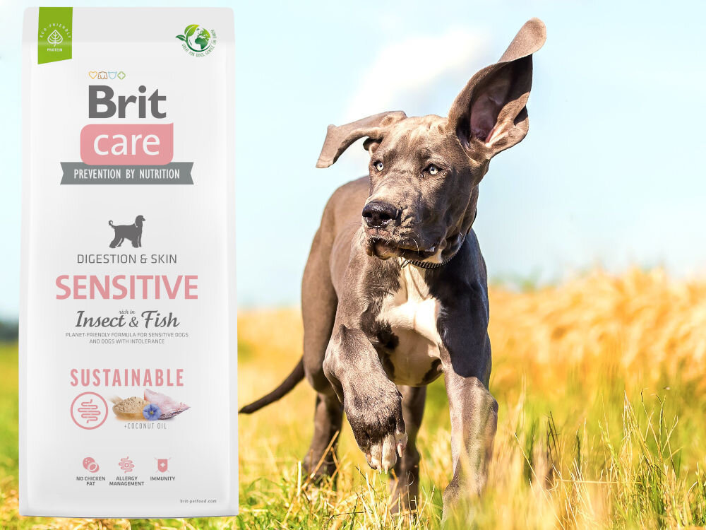 Karma dla psa BRIT Care Sustainable Sensitive Owady i ryba 1 kg sklad zywienie