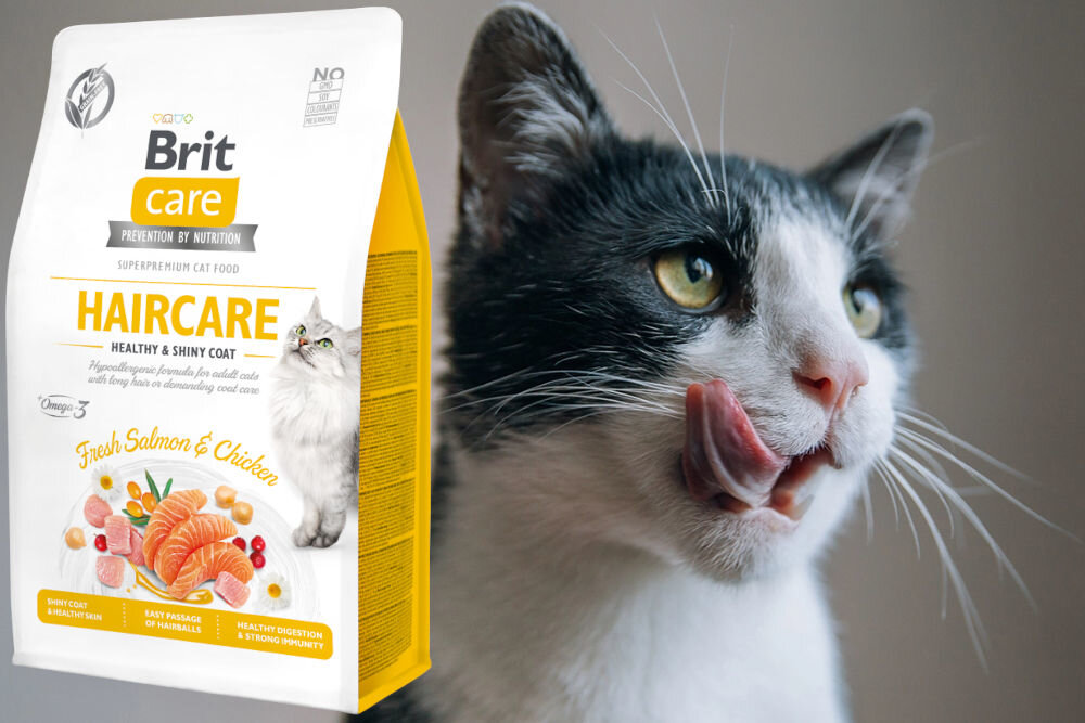 Karma dla kota BRIT CARE Cat Grain-Free Haircare Kurczak z łososiem 400 g dodatki analiza