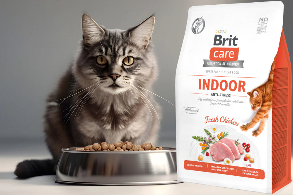 Karma dla kota BRIT CARE Cat Grain-Free Indoor Kurczak 400 g sklad zywienie