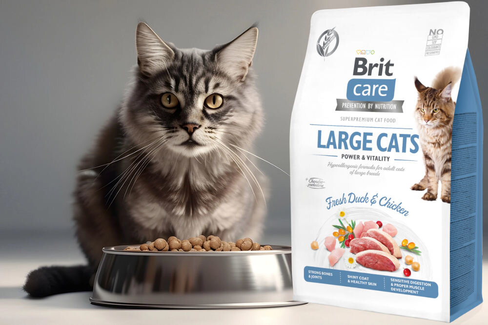 Karma dla kota BRIT Care Large Cats Power & Vitality Świeża Kaczka i Kurczak 400 g sklad zywienie