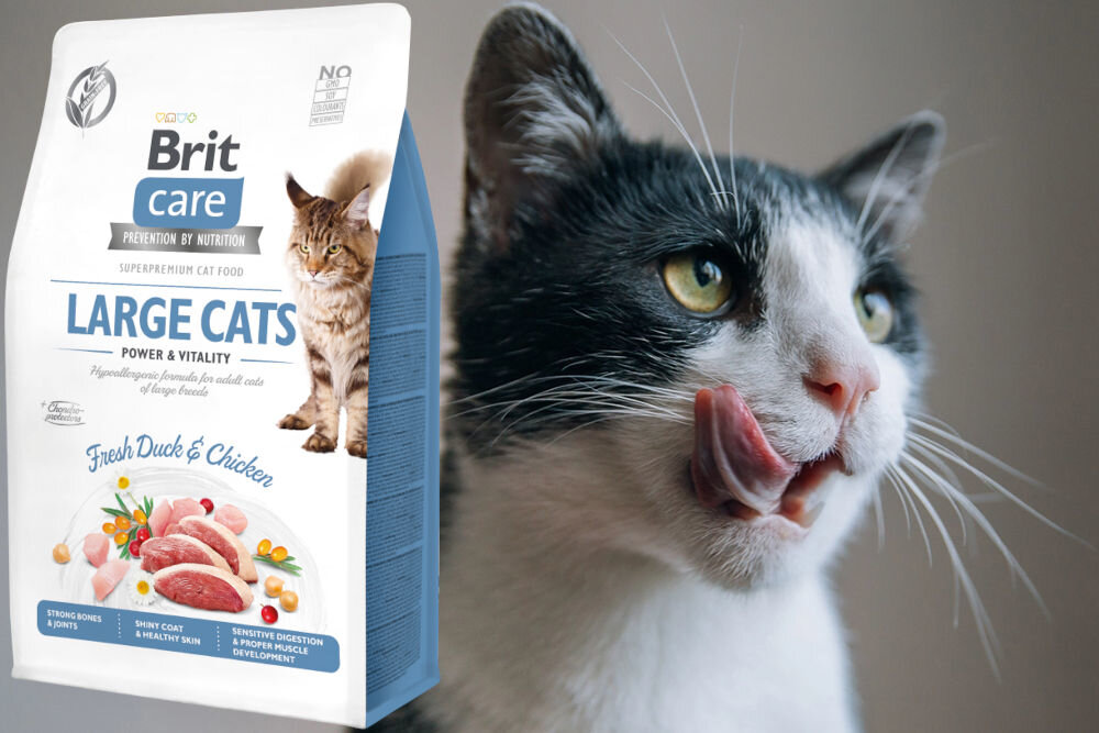 Karma dla kota BRIT Care Large Cats Power & Vitality Świeża Kaczka i Kurczak 400 g dodatki analiza