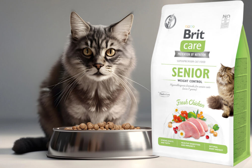 Karma dla kota BRIT CARE Senior Weight Control Świeży Kurczak 2 kg sklad zywienie