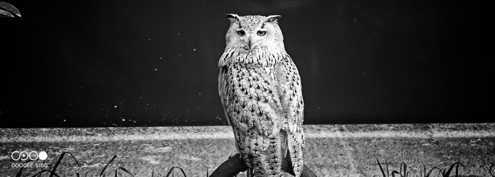 Smartfon DOOGEE S100   ekran bateria aparat procesor ram pamięć pojemność rozdzielczość zdjęcia filmy opis dane cechy blokady system łączność wifi bluetooth obudowa szkło odporność porty muzyka transfer sieć przekątna matryca waga czujniki oled amoled ips