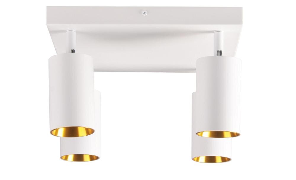 GOLDLUX Maribel 4K 321237 pomieszczenie światło klosz oryginalność styl