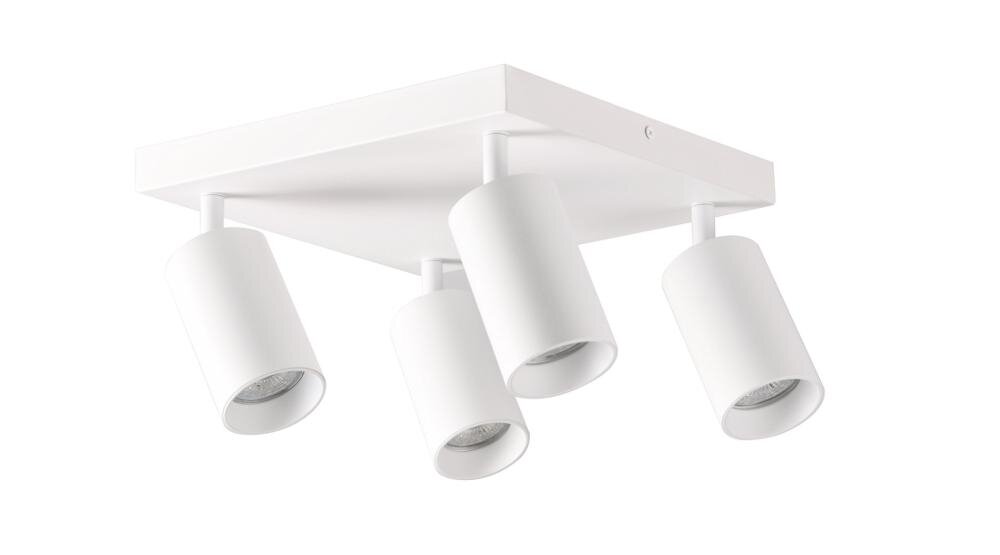 GOLDLUX Maribel 4K 321237 stylowy wygląd oświetlenie atmosfera dom pomieszczenie biuro