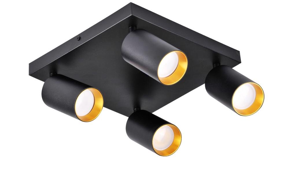 GOLDLUX Maribel 4K 319944 pomieszczenie światło klosz oryginalność styl